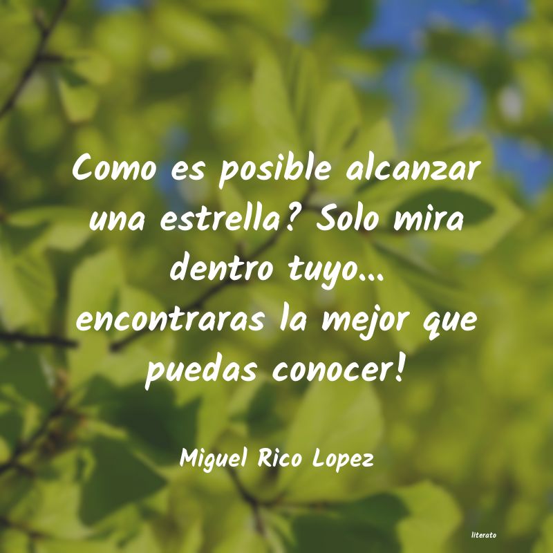 Frases de Miguel Rico Lopez