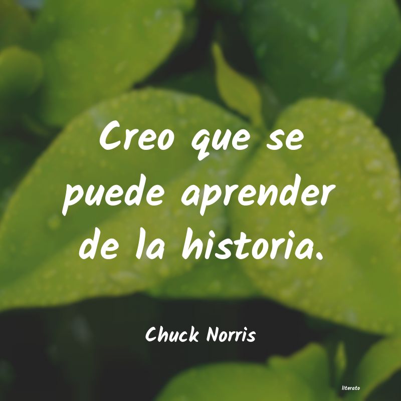 frases de Chuck Norris