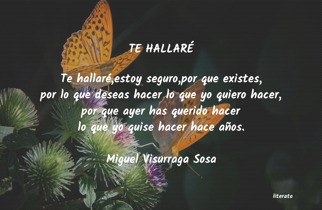 frases de Miguel Visurraga Sosa