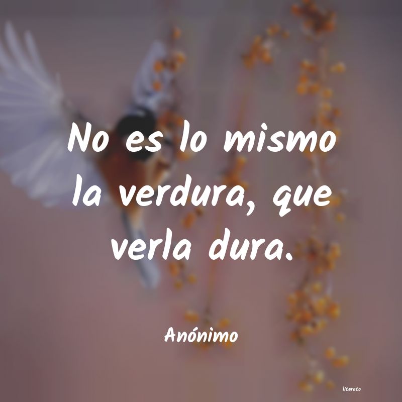 frases
