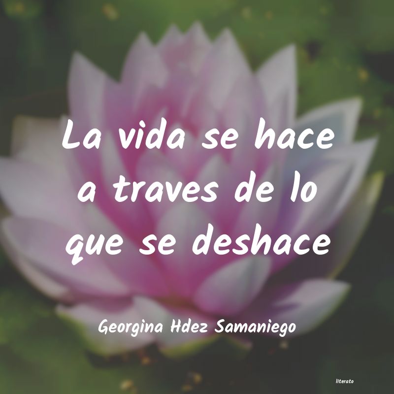 frases de Georgina Hdez Samaniego