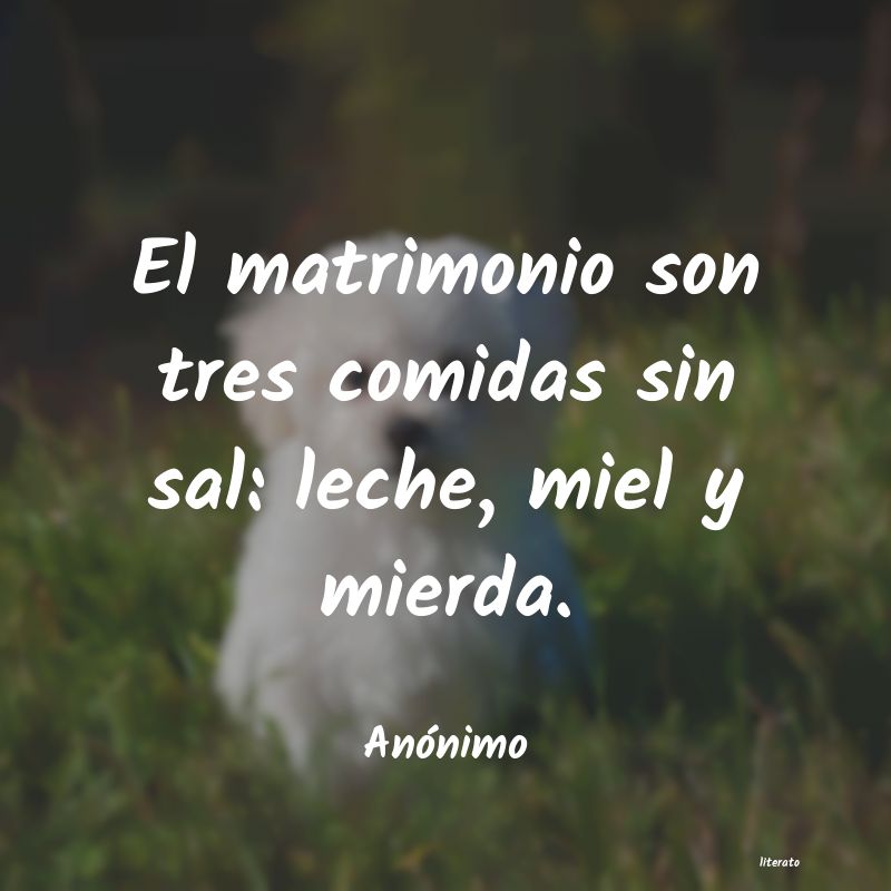 frases