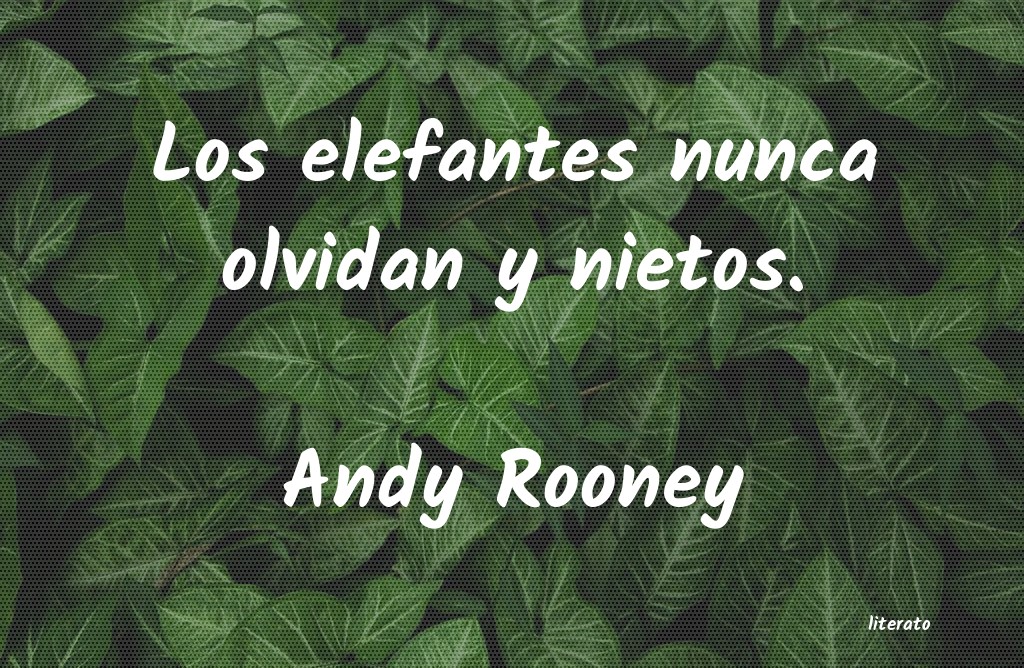 frases de Andy Rooney