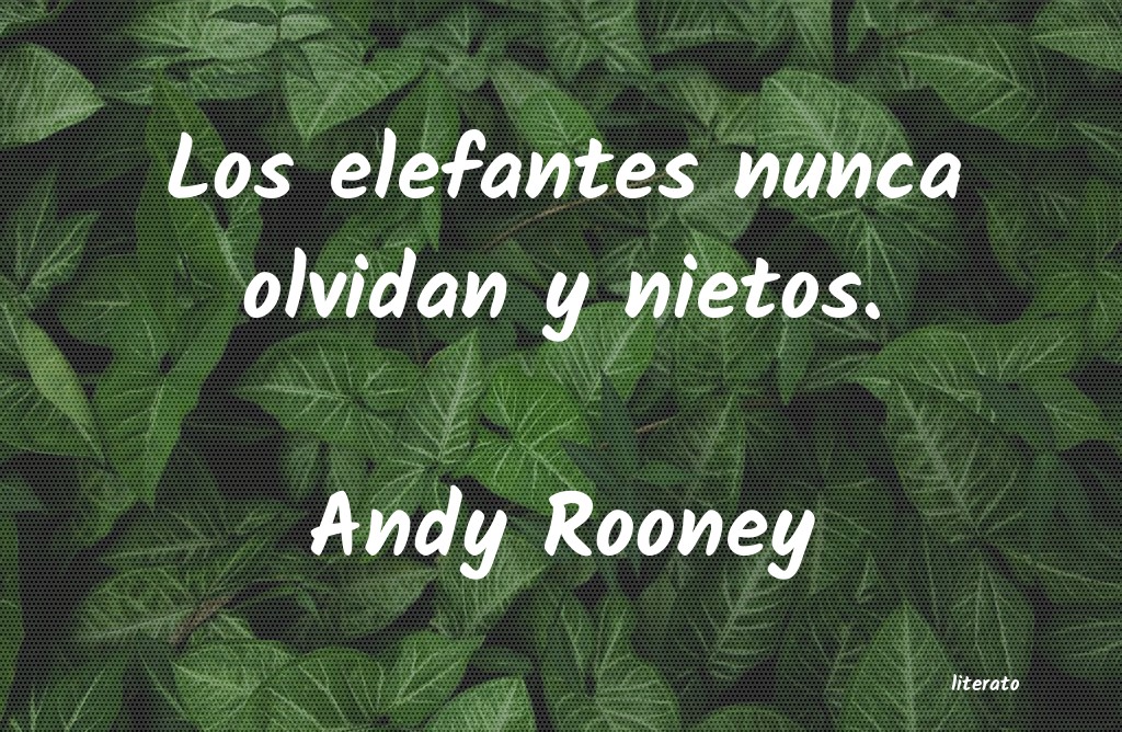 Frases de Andy Rooney