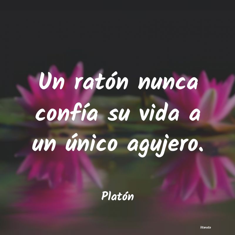 cuales son los pensamientos de platon