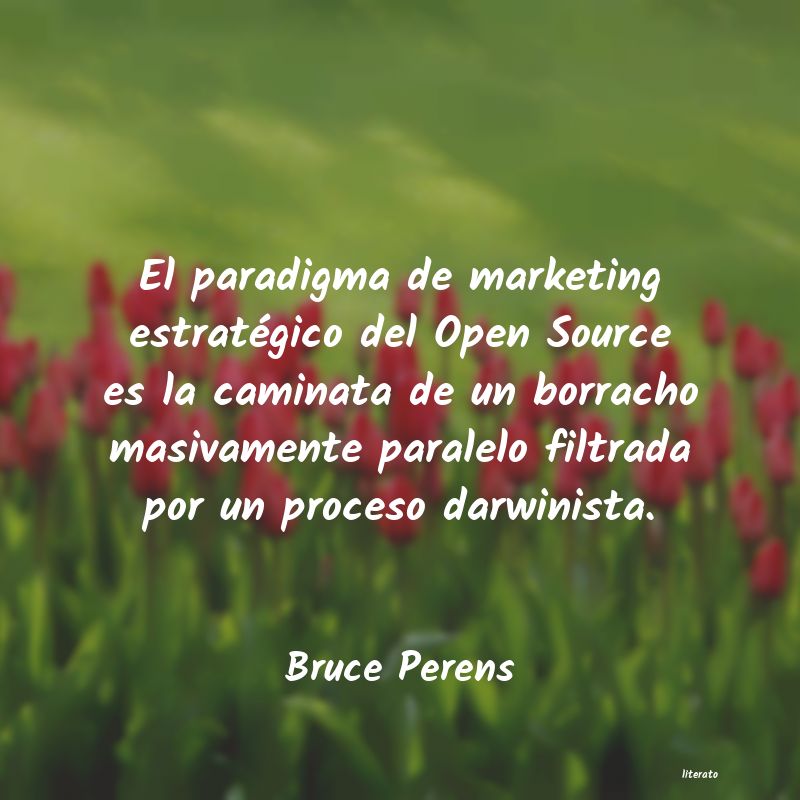 Frases de Bruce Perens