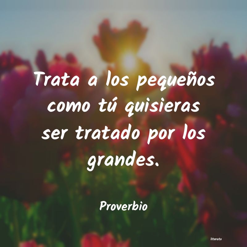 Frases de Proverbio