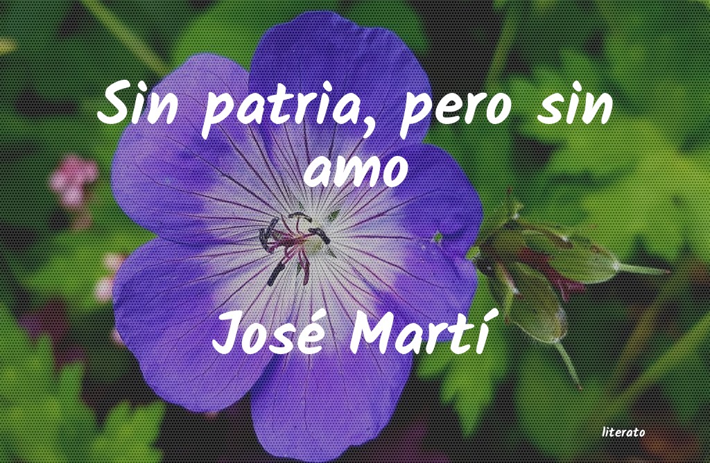 Frases de José Martí