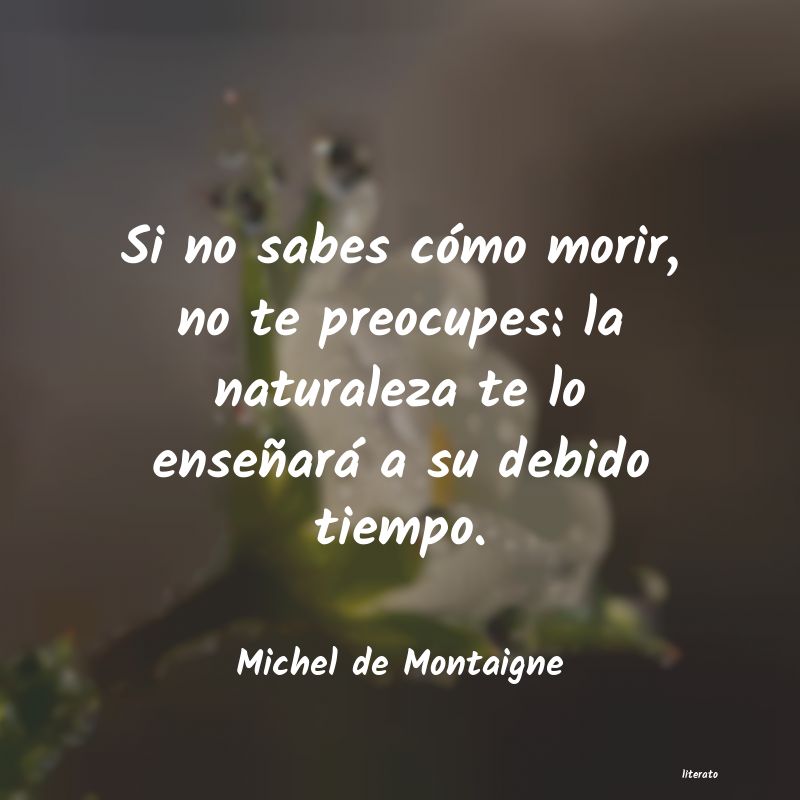 frases de Michel de Montaigne