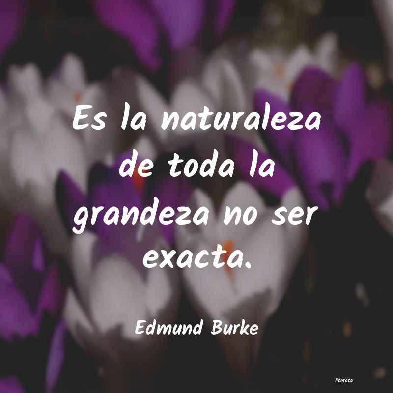 Frases de Edmund Burke