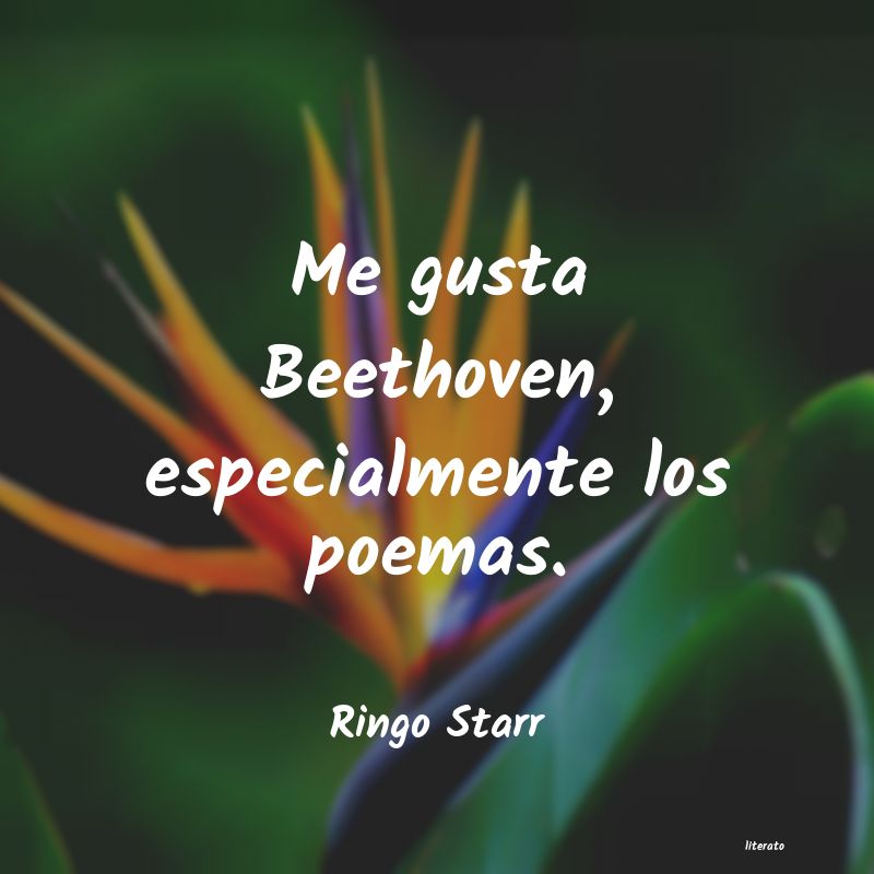 Frases de Ringo Starr