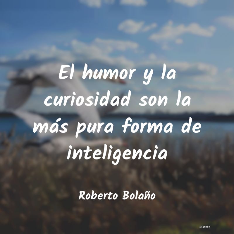 Frases de Roberto Bolaño