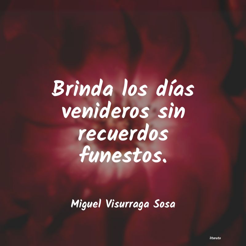 frases de Miguel Visurraga Sosa