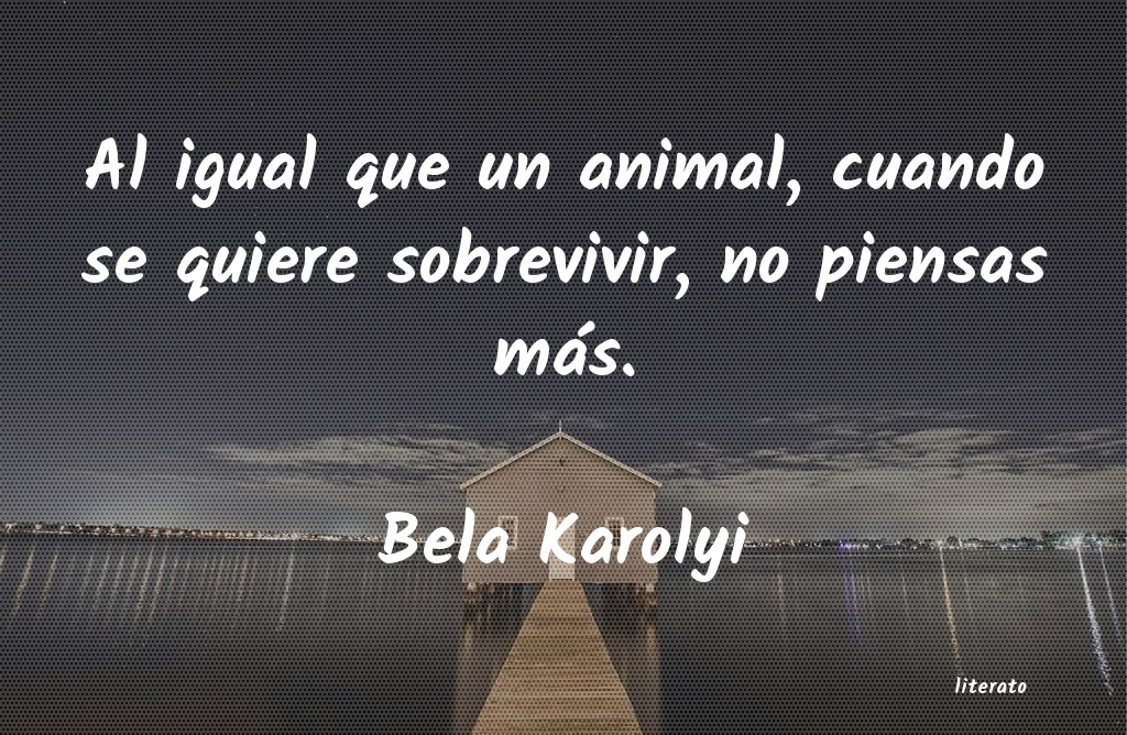 frases de Bela Karolyi