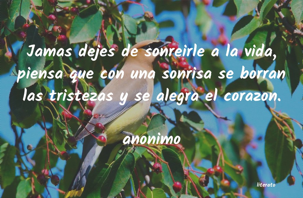 frases