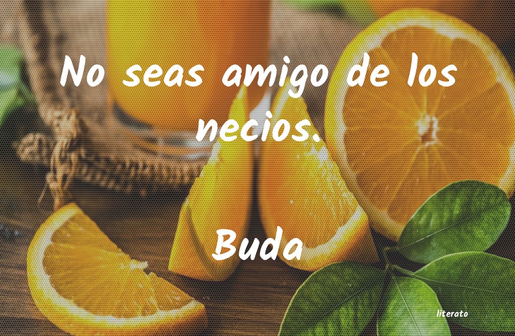 Frases de Buda