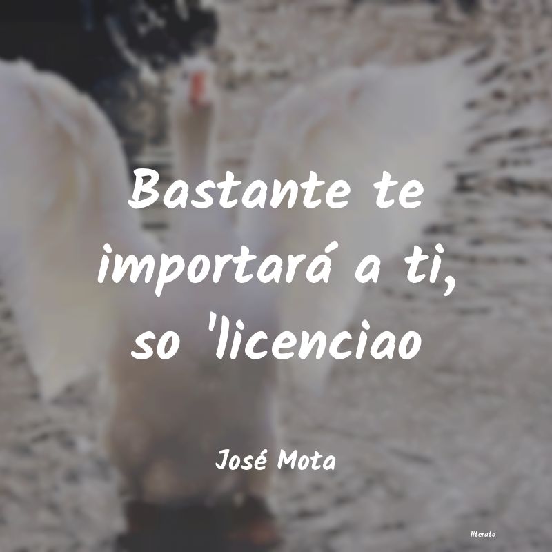 Frases de José Mota