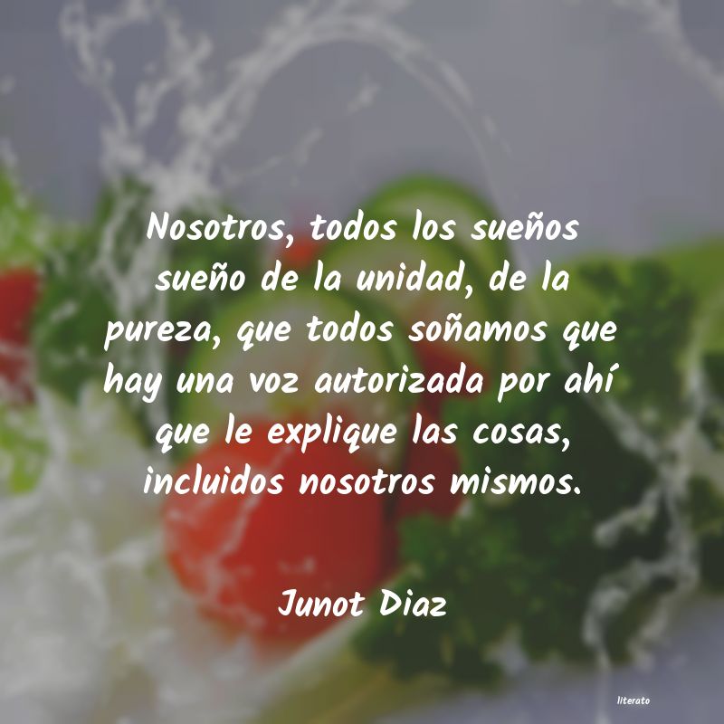 Frases de Junot Diaz