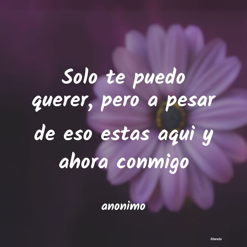 frases