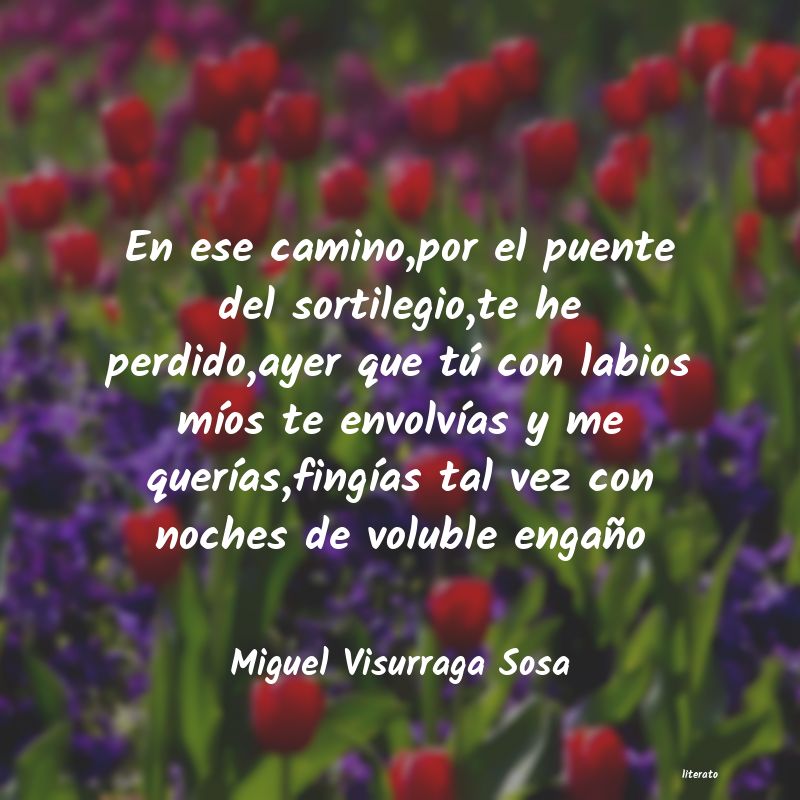 frases de Miguel Visurraga Sosa