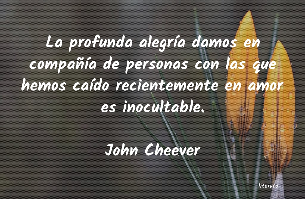 Frases de John Cheever