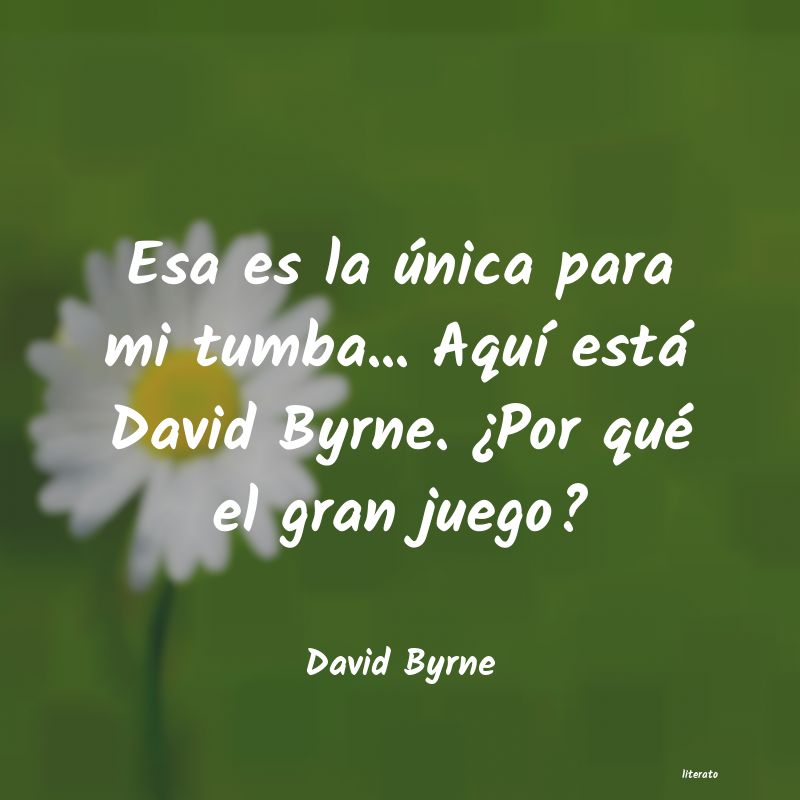 Frases de David Byrne