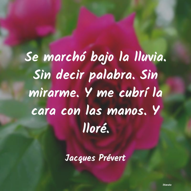 Frases de Jacques Prévert