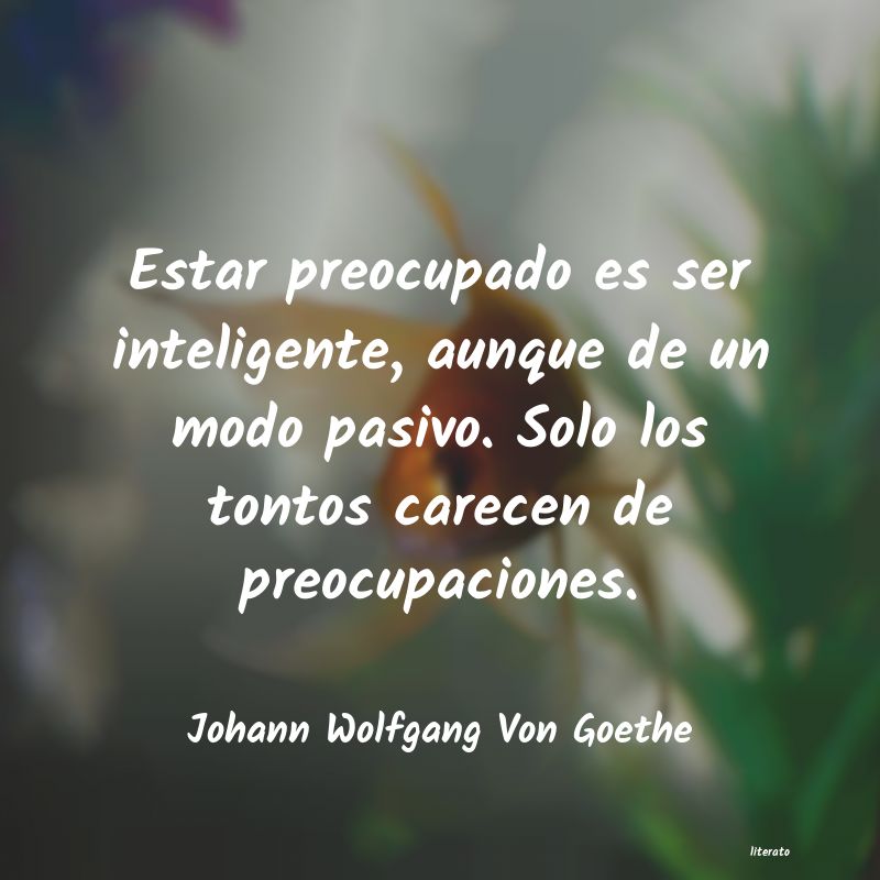 Frases de Johann Wolfgang Von Goethe