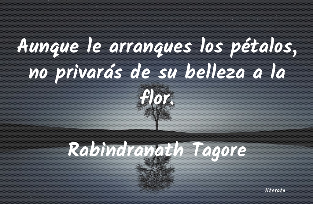 Frases de Rabindranath Tagore