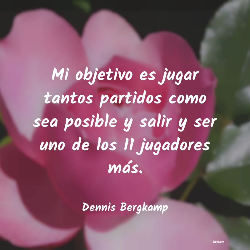 Frases de Dennis Bergkamp