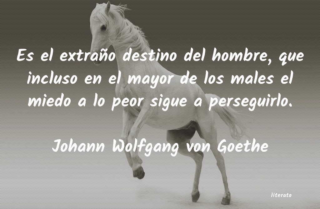 frases de Johann Wolfgang von Goethe