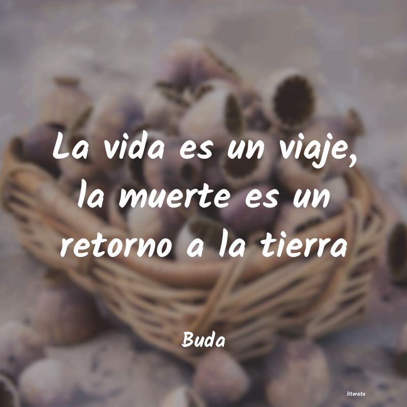 Frases de Buda