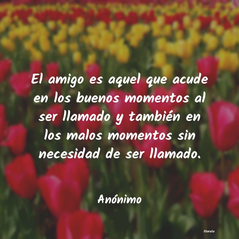 frases