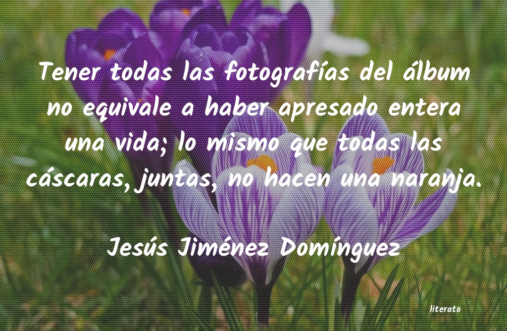 Frases de Jesús Jiménez Domínguez