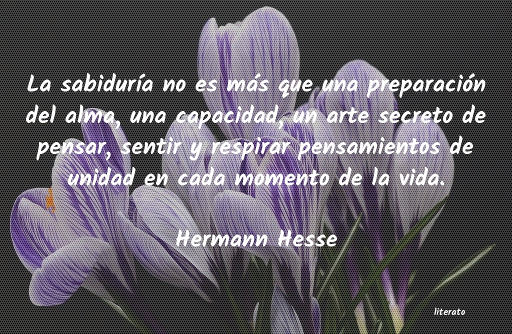 Hermann Hesse la belleza no hace feliz