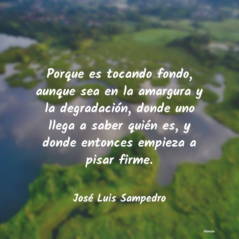 Frases de José Luis Sampedro