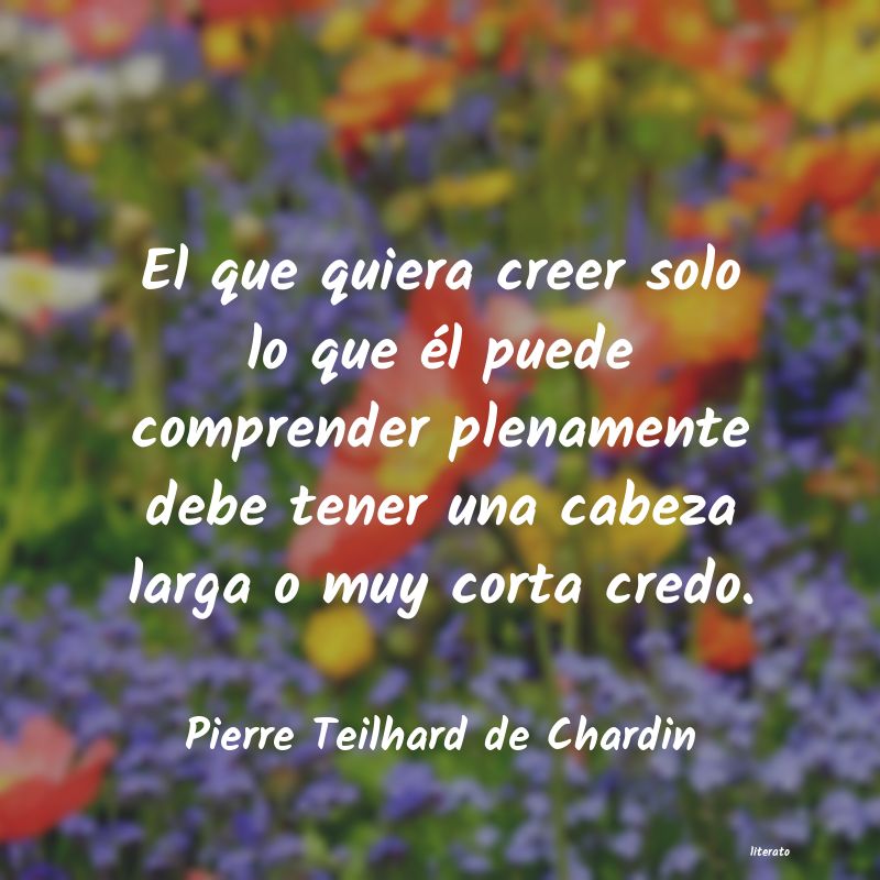 frases de Pierre Teilhard de Chardin
