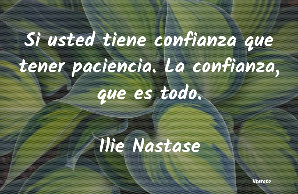 Frases de Ilie Nastase