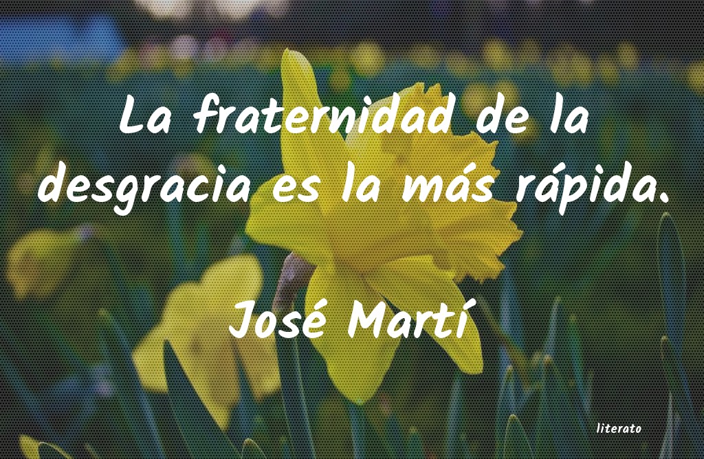 Frases de José Martí