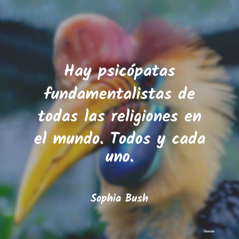 Frases de Sophia Bush