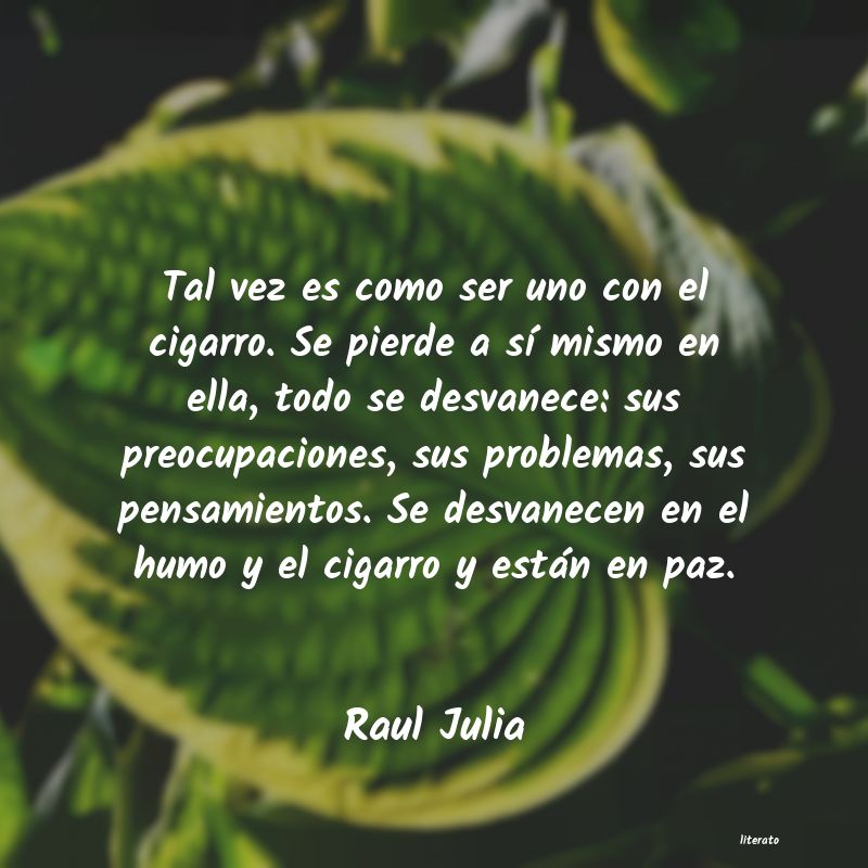 frases de Raul Julia