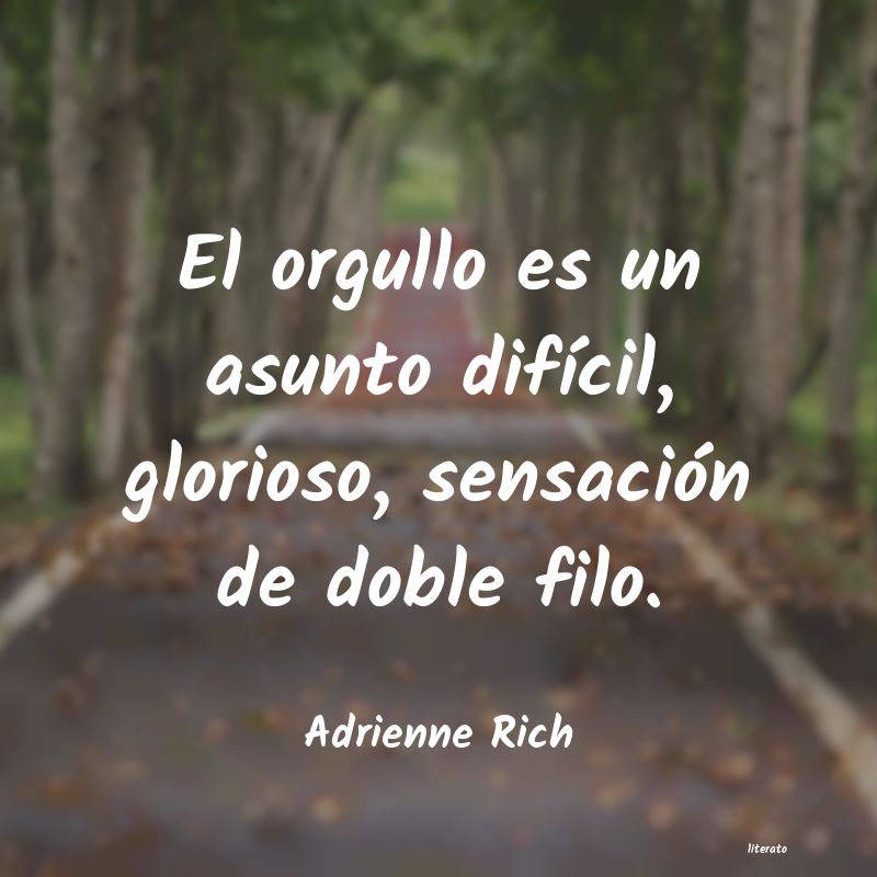 Frases de Adrienne Rich