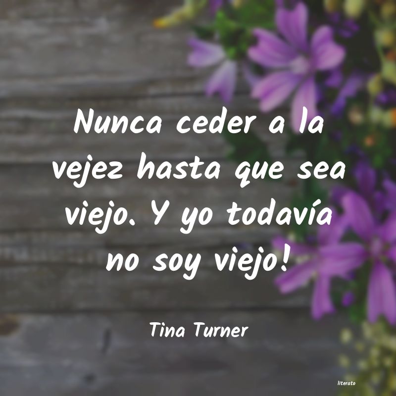 Frases de Tina Turner