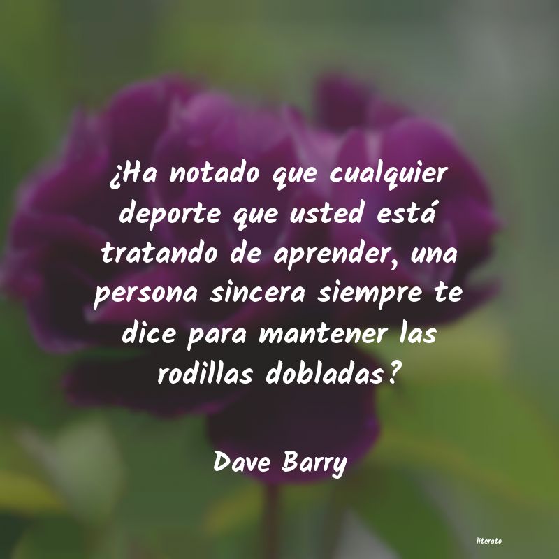 Frases de Dave Barry