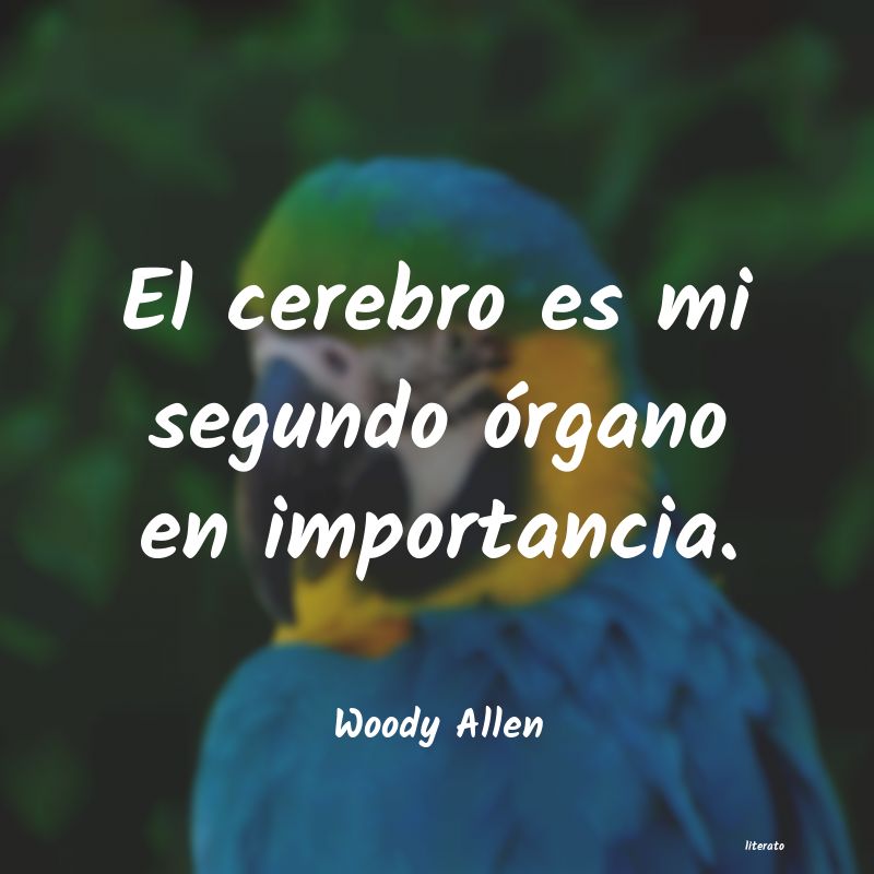 Frases de Woody Allen