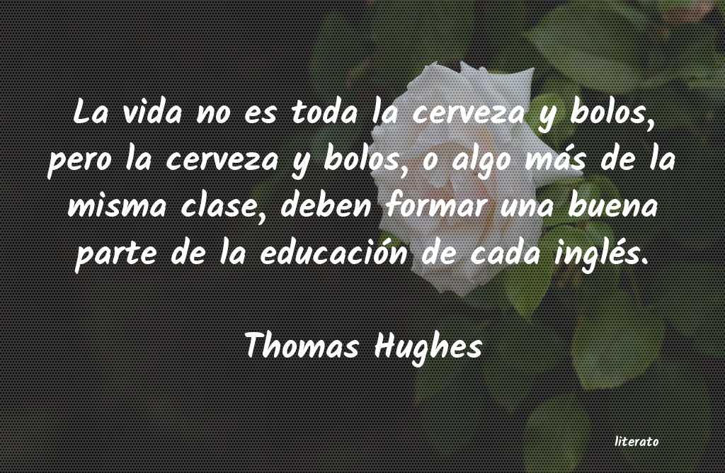 Frases de Thomas Hughes