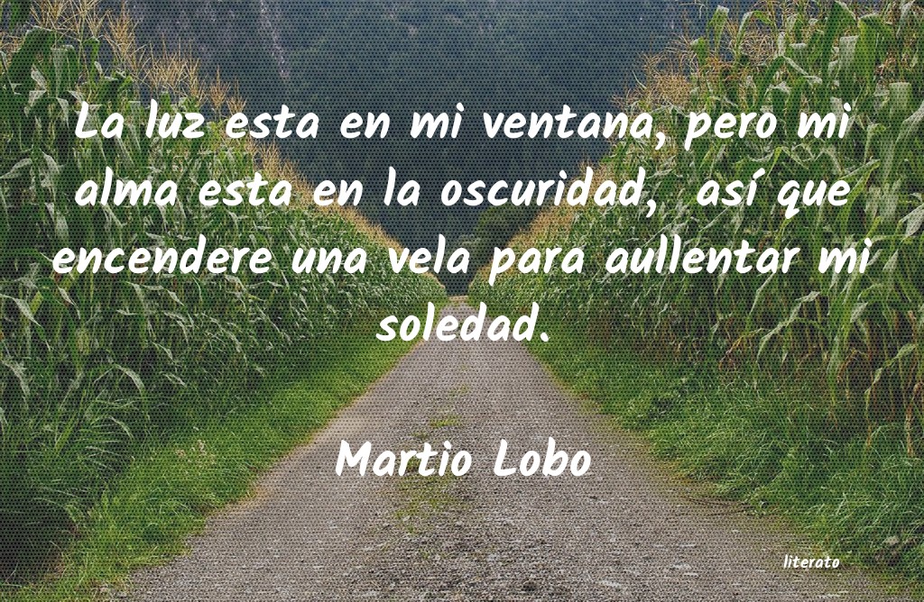 Frases de Martio Lobo