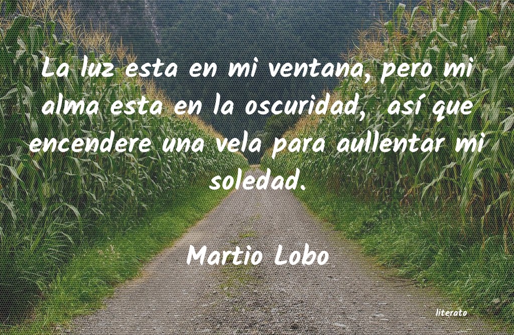 frases de Martio Lobo