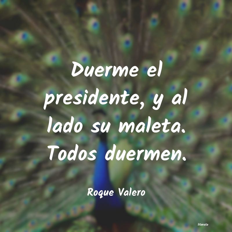 Frases de Roque Valero