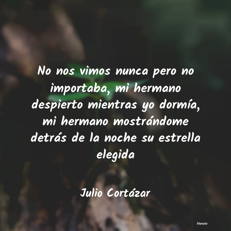 frases de Julio Cortázar